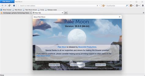 Pale Moon browser security