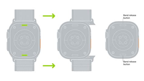 apple watch band release