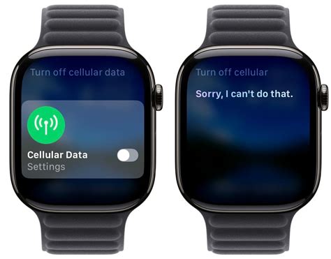 apple watch cellular setup