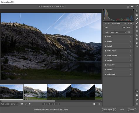 camera RAW file compatibility