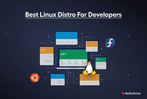 developer linux distro