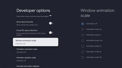 developer options animation scale