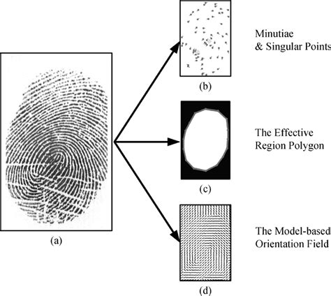 fingerprint matching diagram