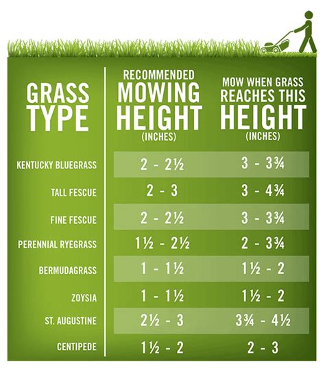 tall grass cutting height