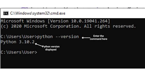 terminal version check