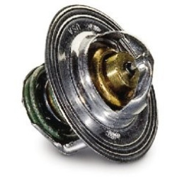 THERMOSTAT, LOW-TEMP JET - 10183